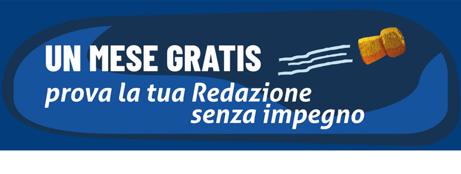 Offerta 30 giorni di prova